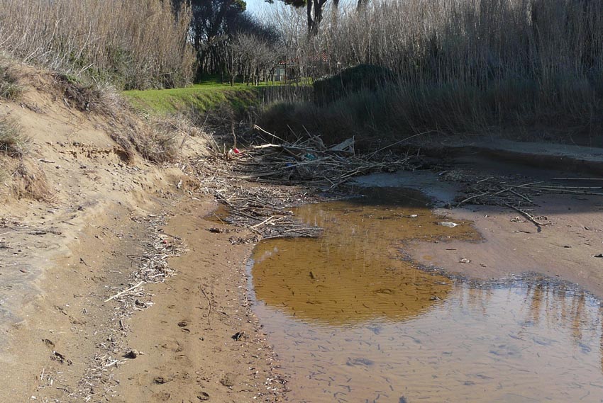 I fossi e lo stagno di Baratti (Piombino - LI)